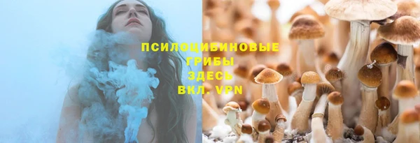эйфоретик Баксан