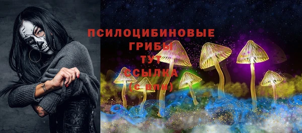 эйфоретик Баксан