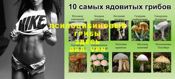 эйфоретик Баксан