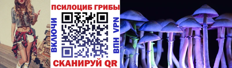Псилоцибиновые грибы Cubensis Нижнеудинск