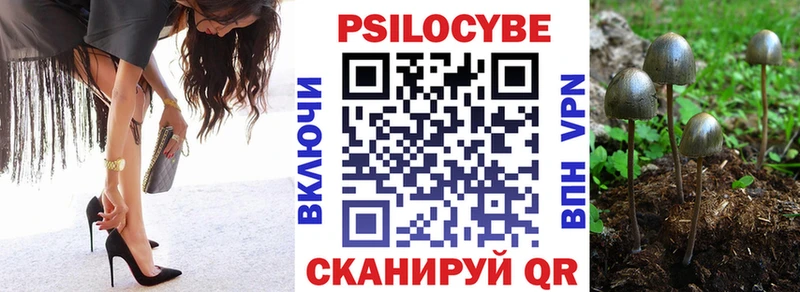 закладка  Нижнеудинск  Галлюциногенные грибы Cubensis 