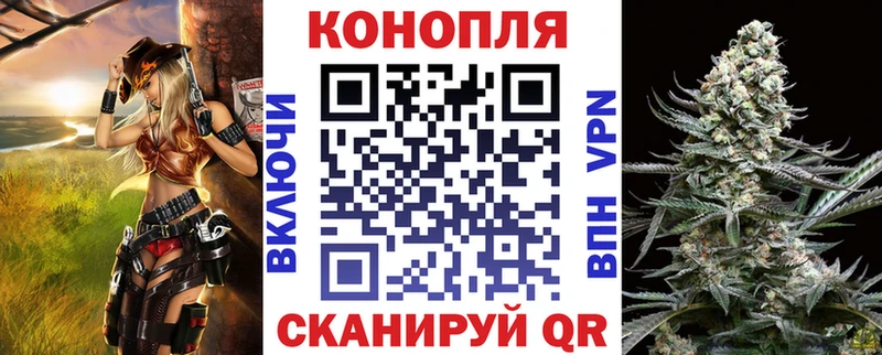 Шишки марихуана план  Нижнеудинск 